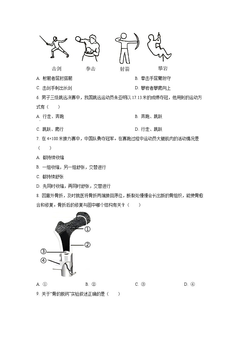 广东省揭阳市榕城区2024-2025学年八年级上学期期中生物试卷（学生版）第2页