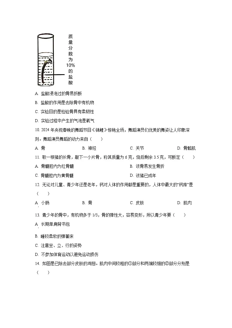 广东省揭阳市榕城区2024-2025学年八年级上学期期中生物试卷（学生版）第3页
