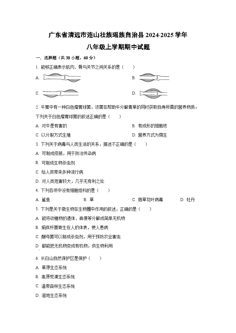 广东省清远市连山壮族瑶族自治县2024-2025学年八年级上学期期中生物试卷（学生版）第1页