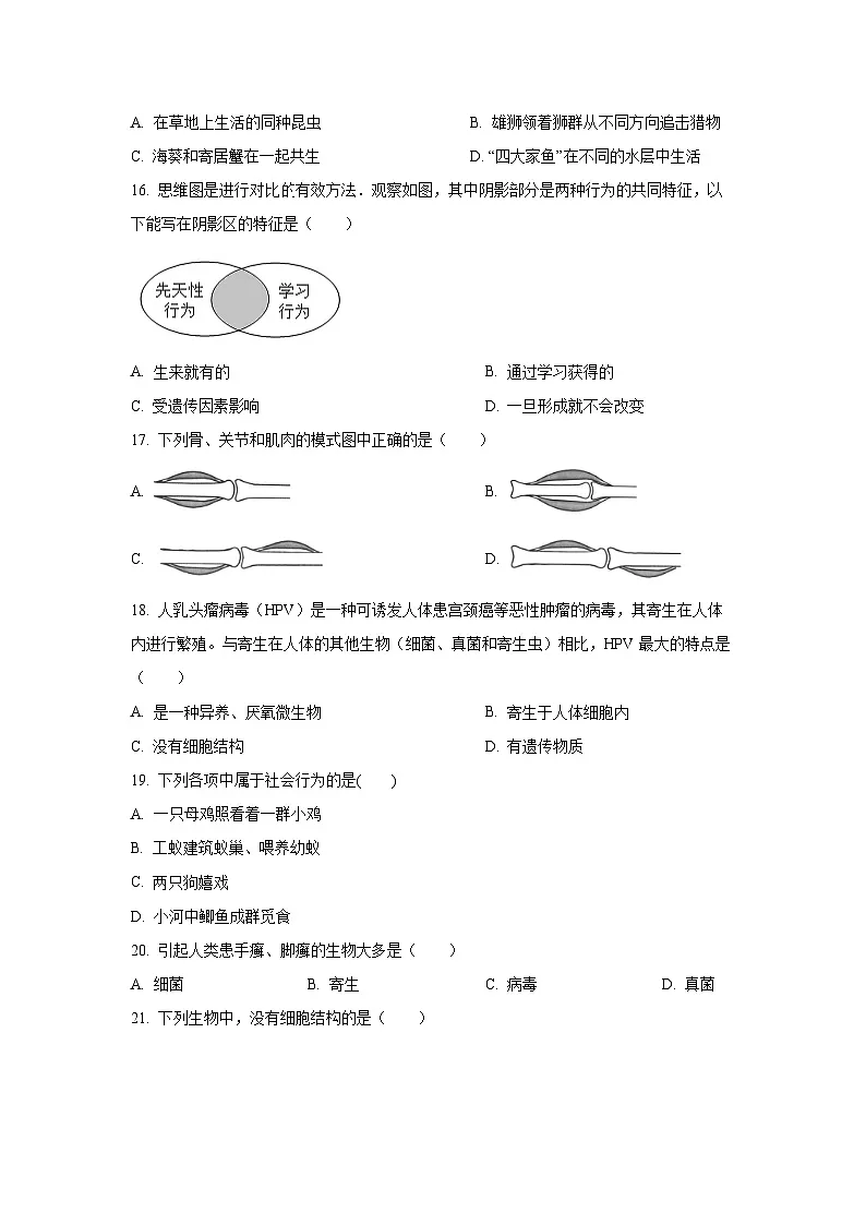 广东省清远市连山壮族瑶族自治县2024-2025学年八年级上学期期中生物试卷（学生版）第3页