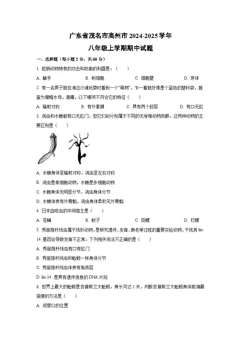 广东省茂名市高州市2024-2025学年八年级上学期期中生物试卷（学生版）第1页