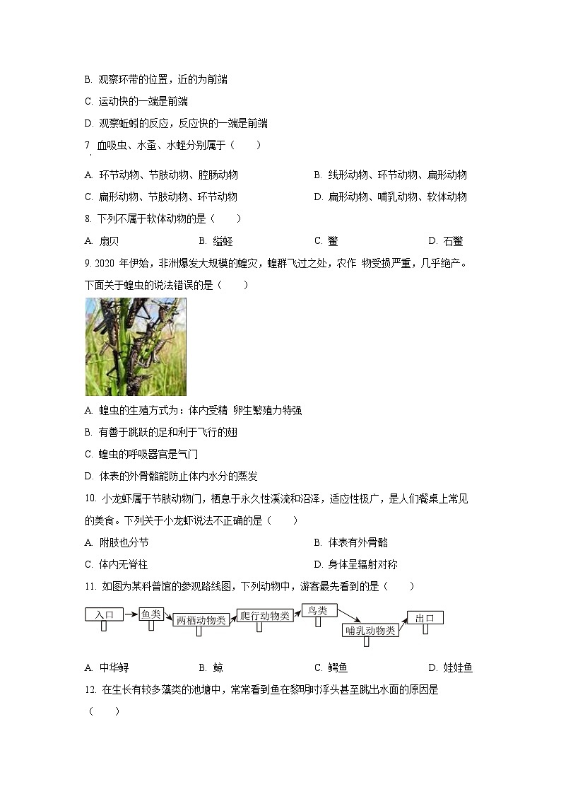 广东省茂名市高州市2024-2025学年八年级上学期期中生物试卷（学生版）第2页