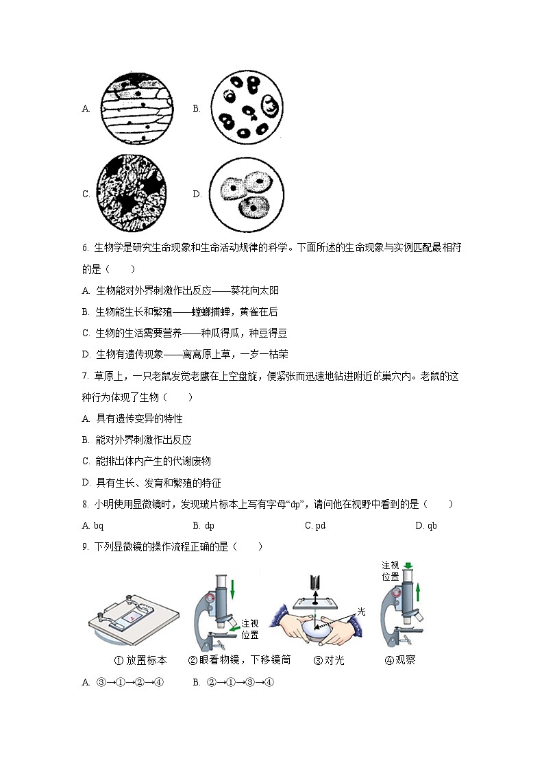 海南省海口市龙华区第五学区2025-2026学年七年级上学期期中生物试卷（学生版）第2页