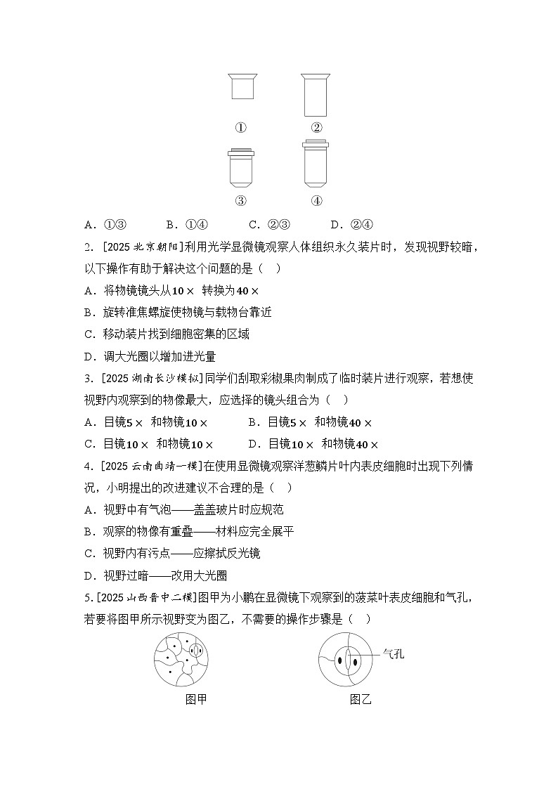 第1讲+生物与细胞+练习2026年中考生物学一轮复习（人教版）第2页
