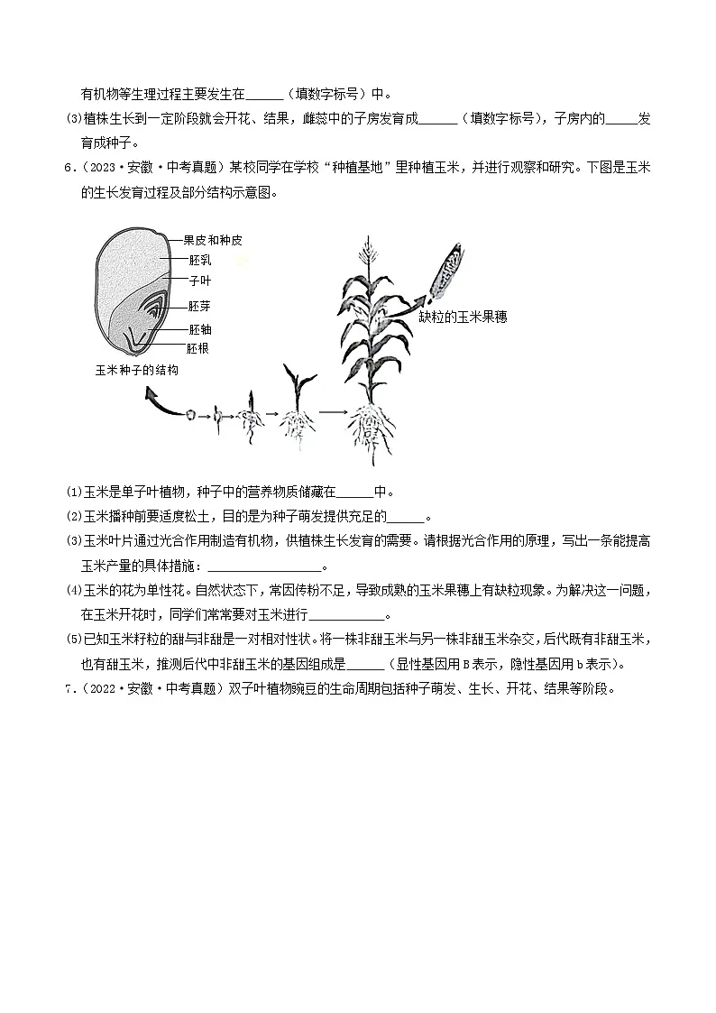 专题04 生物圈中的绿色植物（原卷版） 第3页