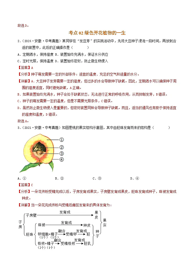 专题04 生物圈中的绿色植物（解析版）第2页