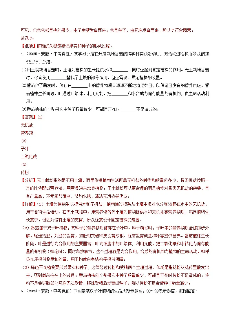 专题04 生物圈中的绿色植物（解析版）第3页