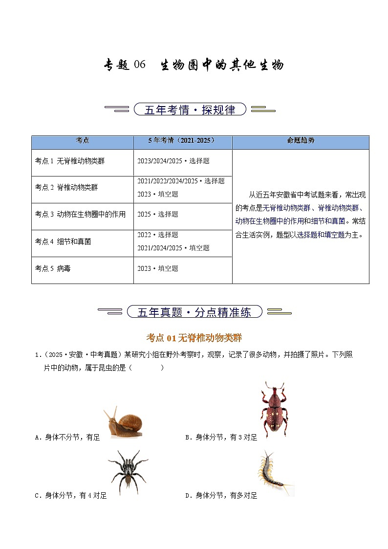 专题06  生物圈中的其他生物（原卷版）第1页