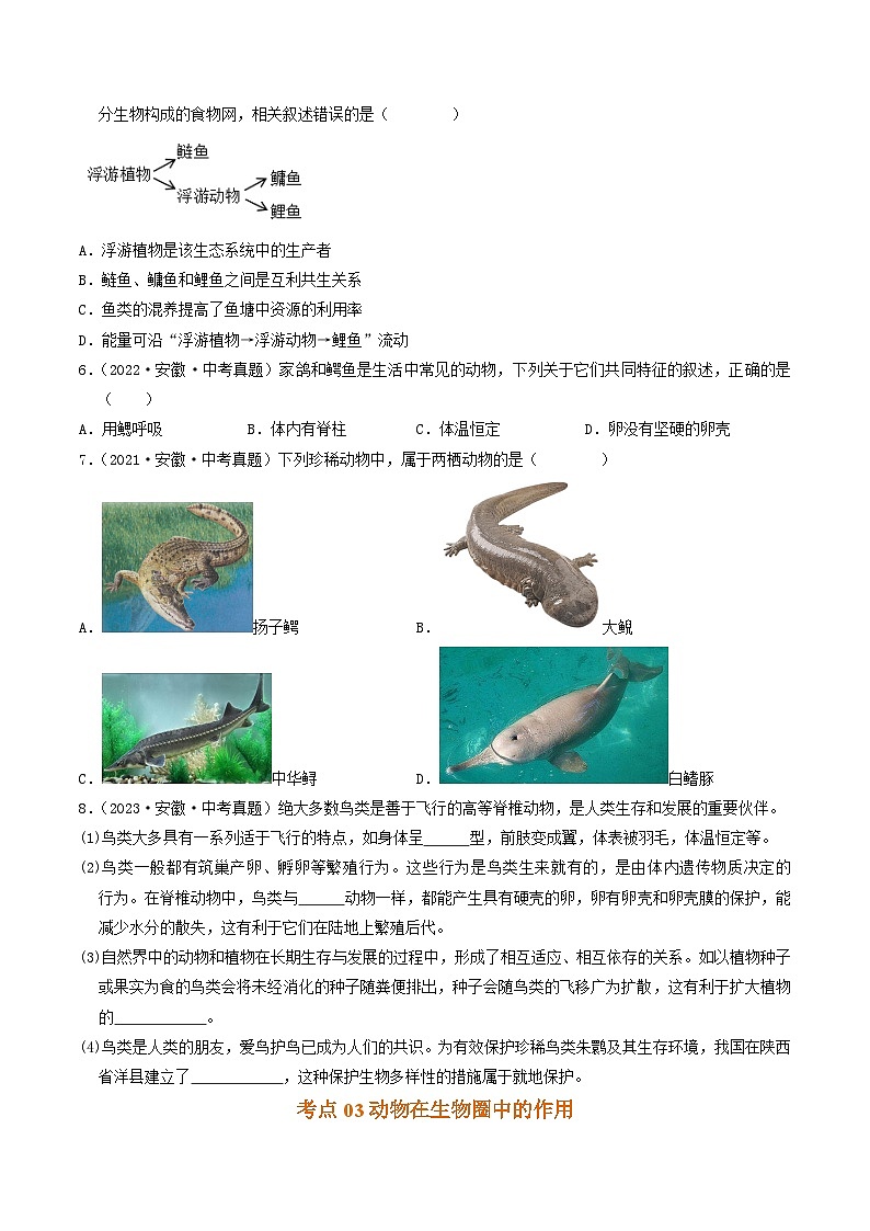 专题06  生物圈中的其他生物（原卷版）第3页