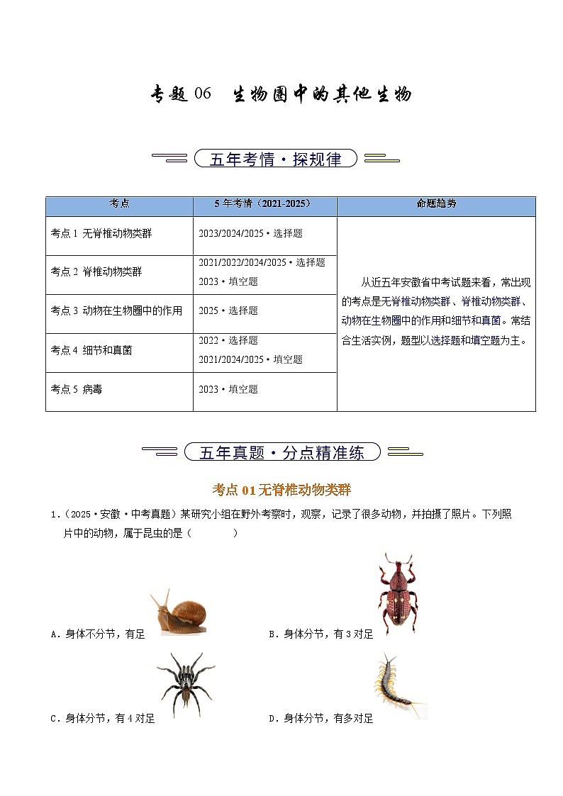 专题06  生物圈中的其他生物（解析版）第1页