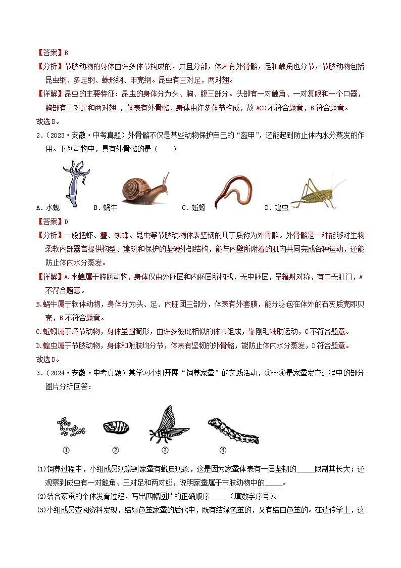 专题06  生物圈中的其他生物（解析版）第2页