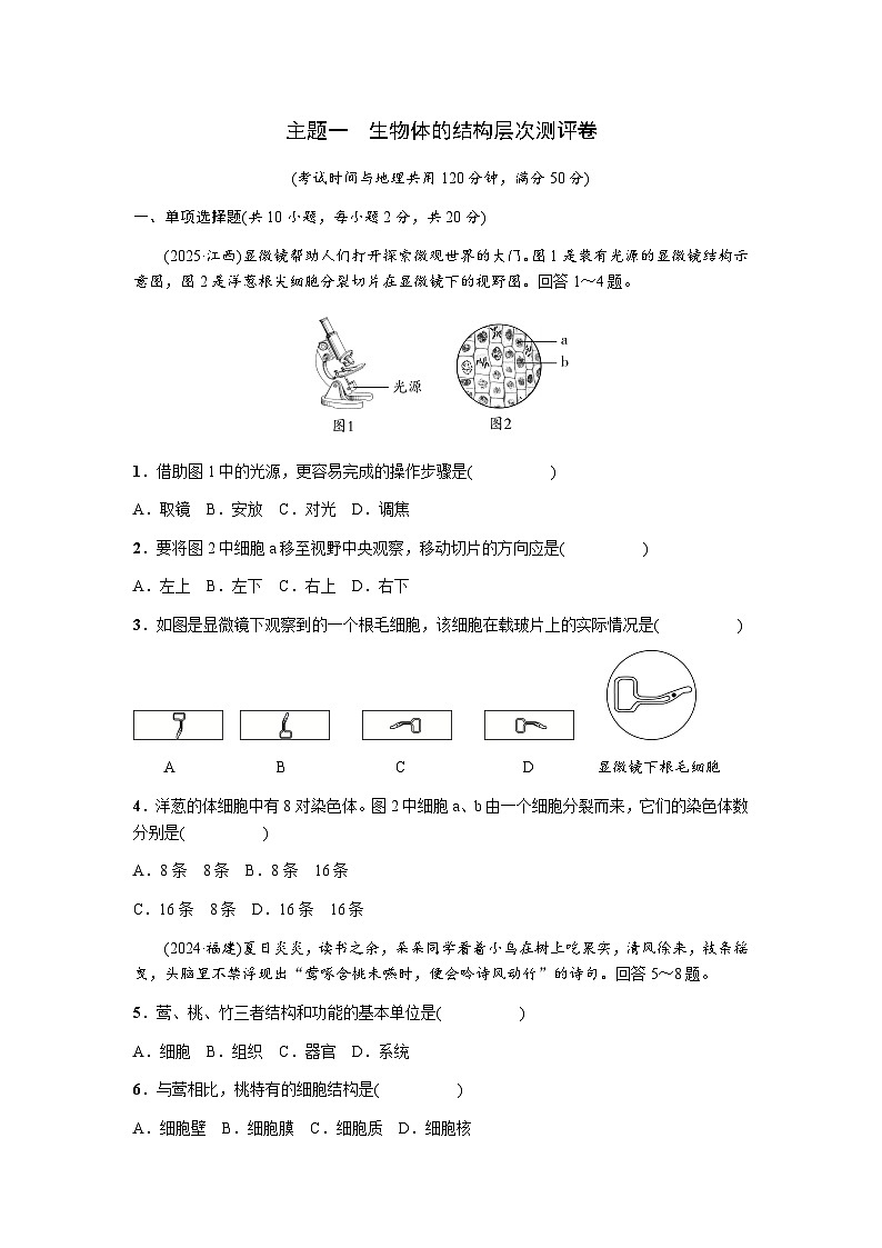 主题一生物体的结构层次测评卷 -  学生版第1页