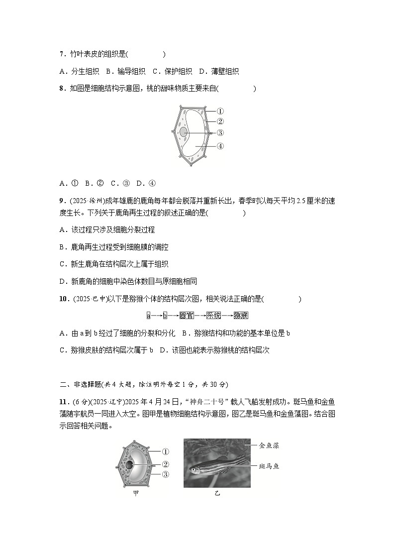 主题一生物体的结构层次测评卷 -  学生版第2页