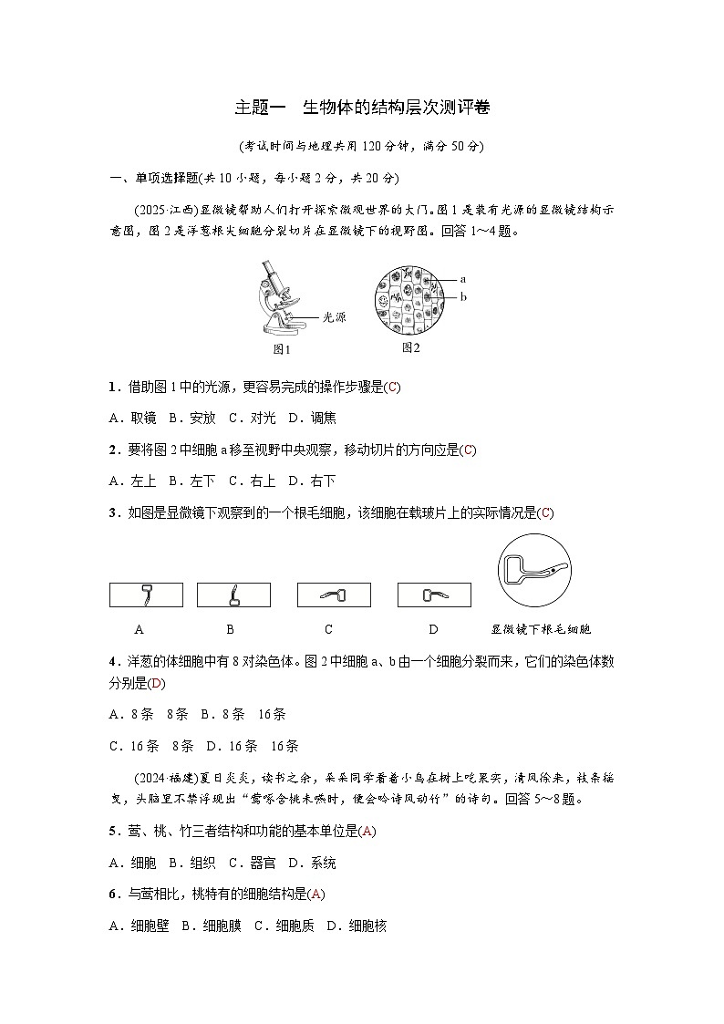 主题一生物体的结构层次测评卷第1页