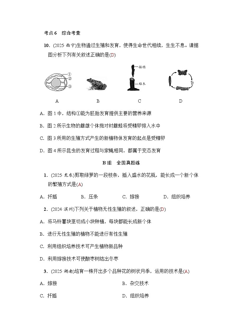 第16课时生物的生殖和发育第3页