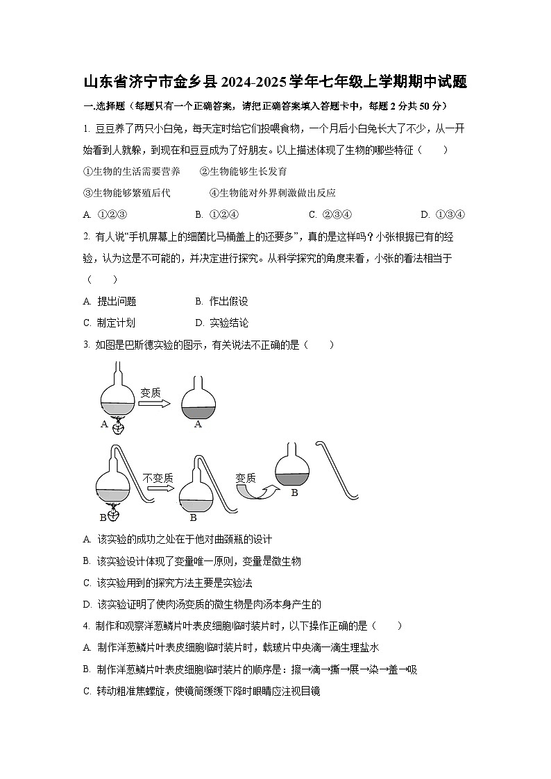 山东省济宁市金乡县2024-2025学年七年级上学期期中生物试卷（学生版）第1页