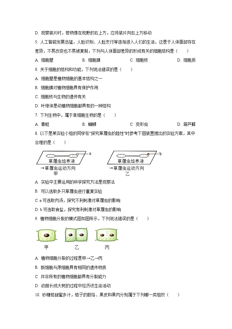 山东省济宁市金乡县2024-2025学年七年级上学期期中生物试卷（学生版）第2页
