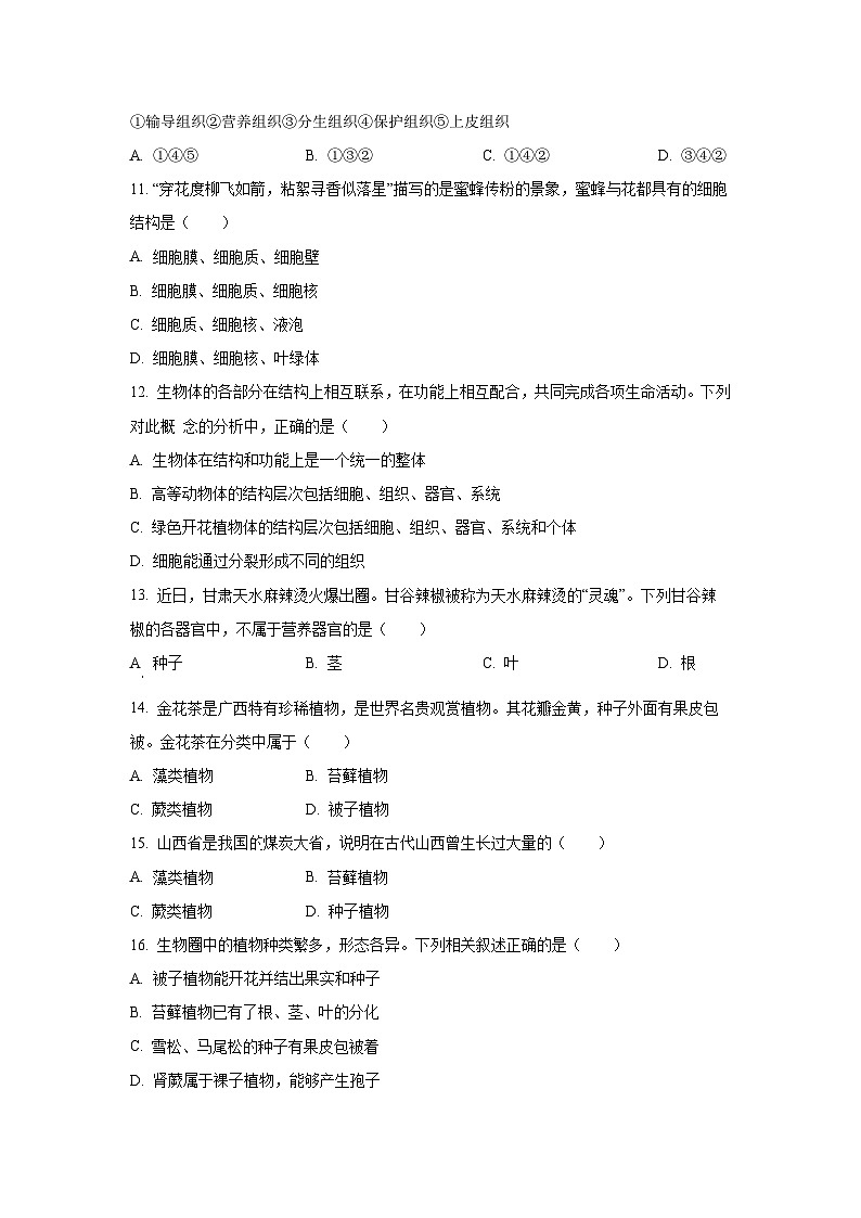 山东省济宁市金乡县2024-2025学年七年级上学期期中生物试卷（学生版）第3页