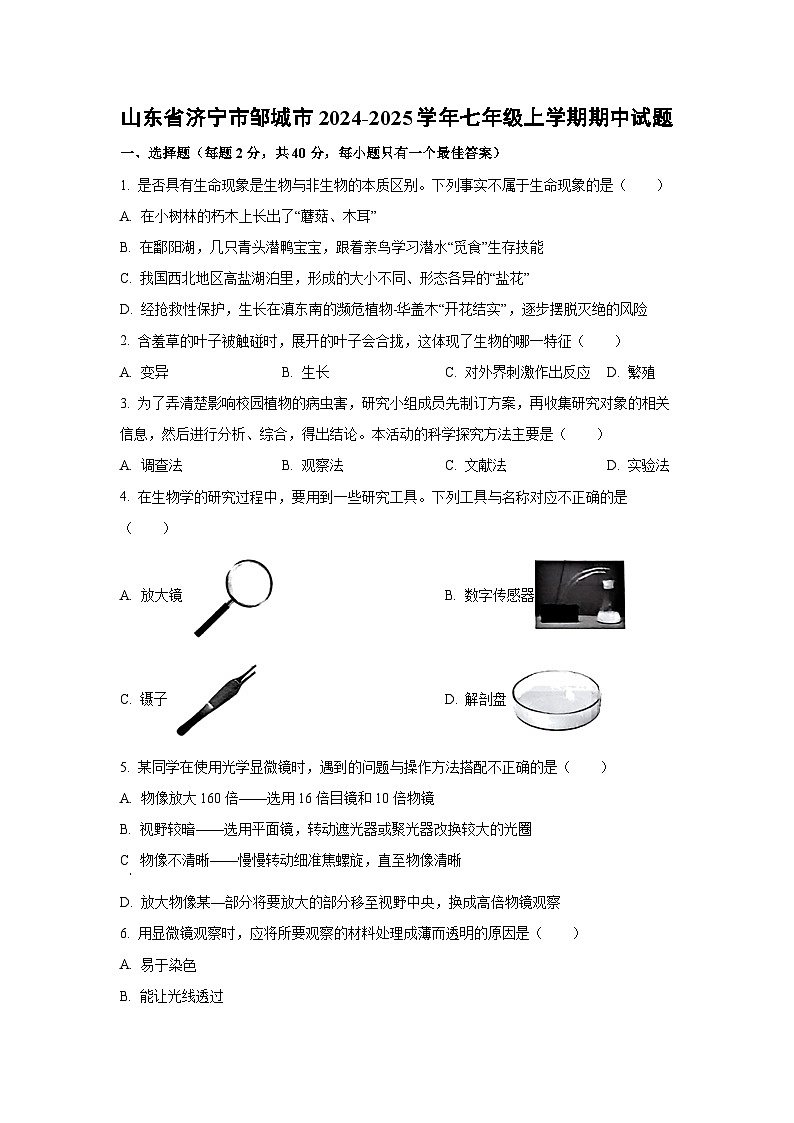 山东省济宁市邹城市2024-2025学年七年级上学期期中生物试卷（学生版）第1页