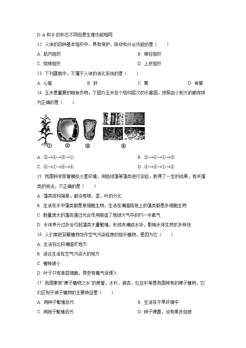 山东省济宁市邹城市2024-2025学年七年级上学期期中生物试卷（学生版）第3页