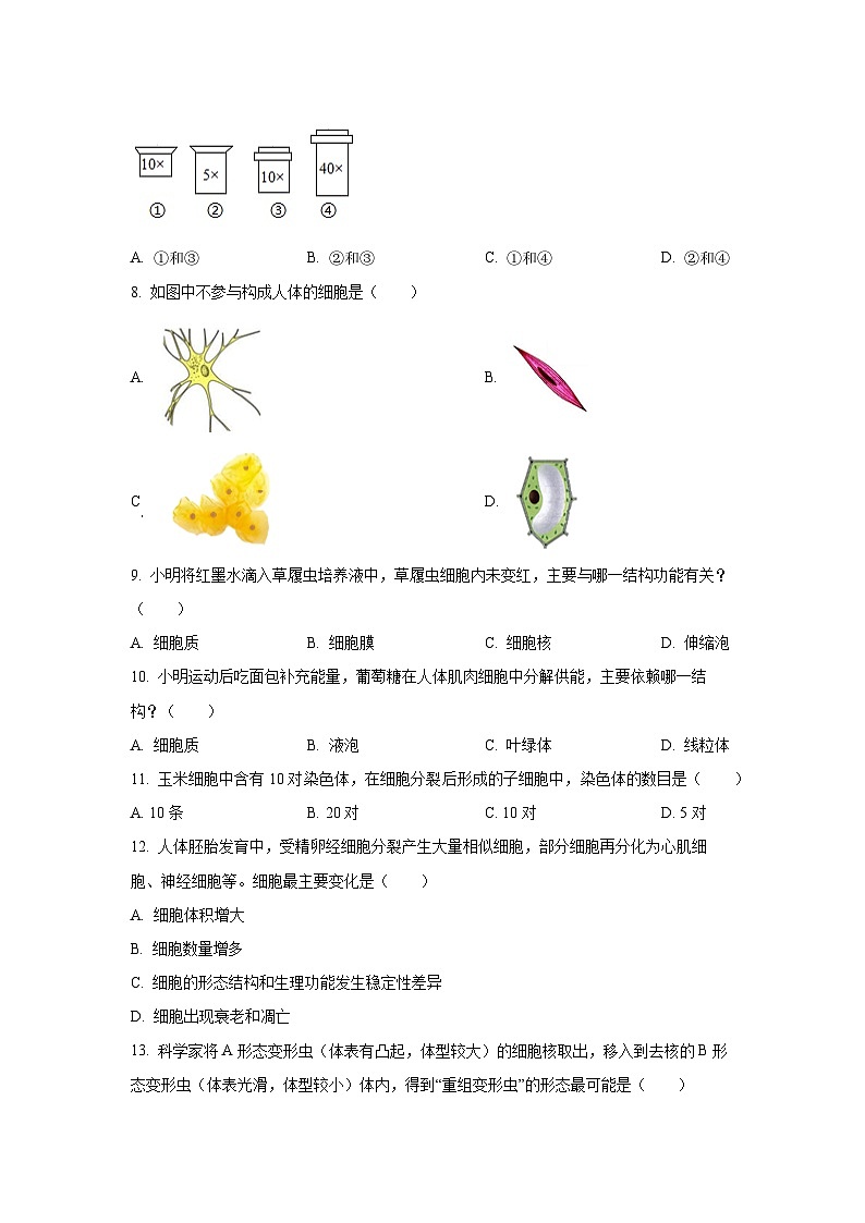 广西柳州市2025-2026学年七年级上学期期中生物试卷（学生版）第2页
