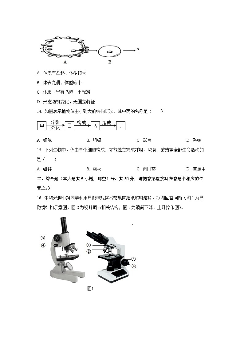 广西柳州市2025-2026学年七年级上学期期中生物试卷（学生版）第3页