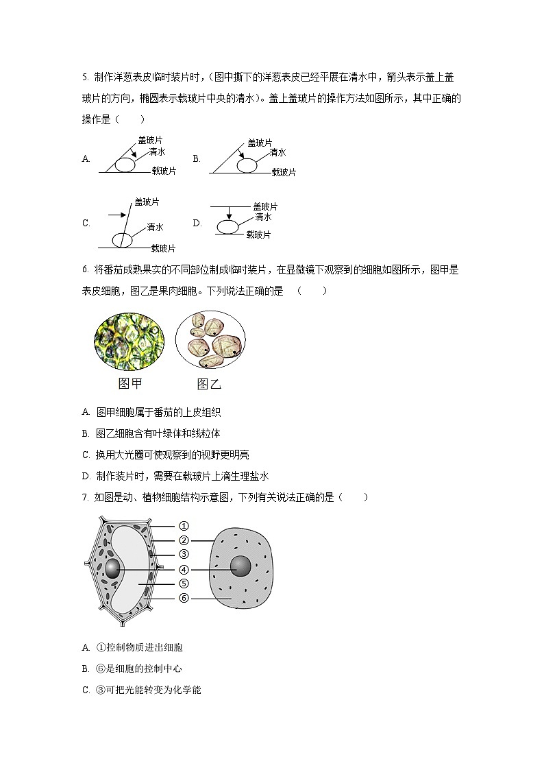 福建省厦门市2025-2026学年七年级上学期期中自编模拟生物试卷（学生版）第2页
