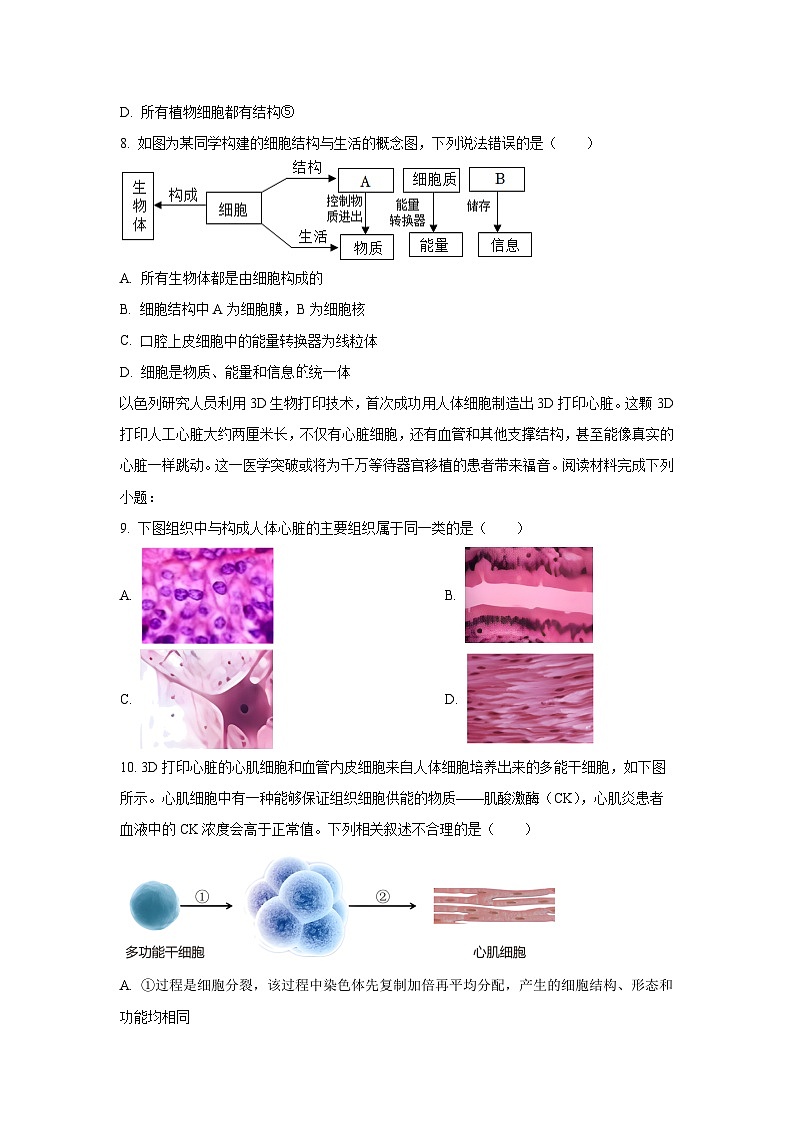 福建省厦门市2025-2026学年七年级上学期期中自编模拟生物试卷（学生版）第3页