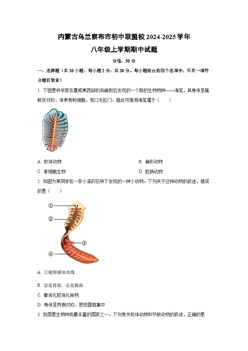 内蒙古乌兰察布市初中联盟校2024-2025学年八年级上学期期中生物试卷（学生版）第1页