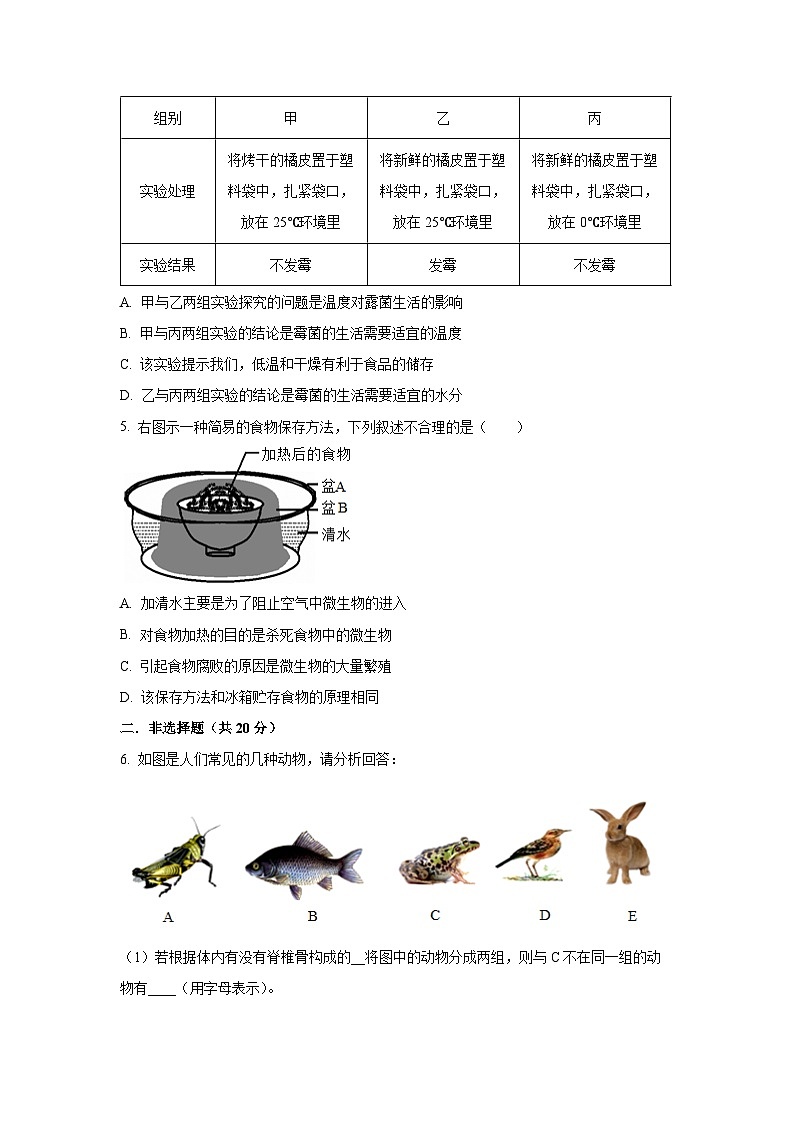 内蒙古通辽市科尔沁左翼中旗联盟校2024-2025学年八年级上学期期中生物试卷（学生版）第2页