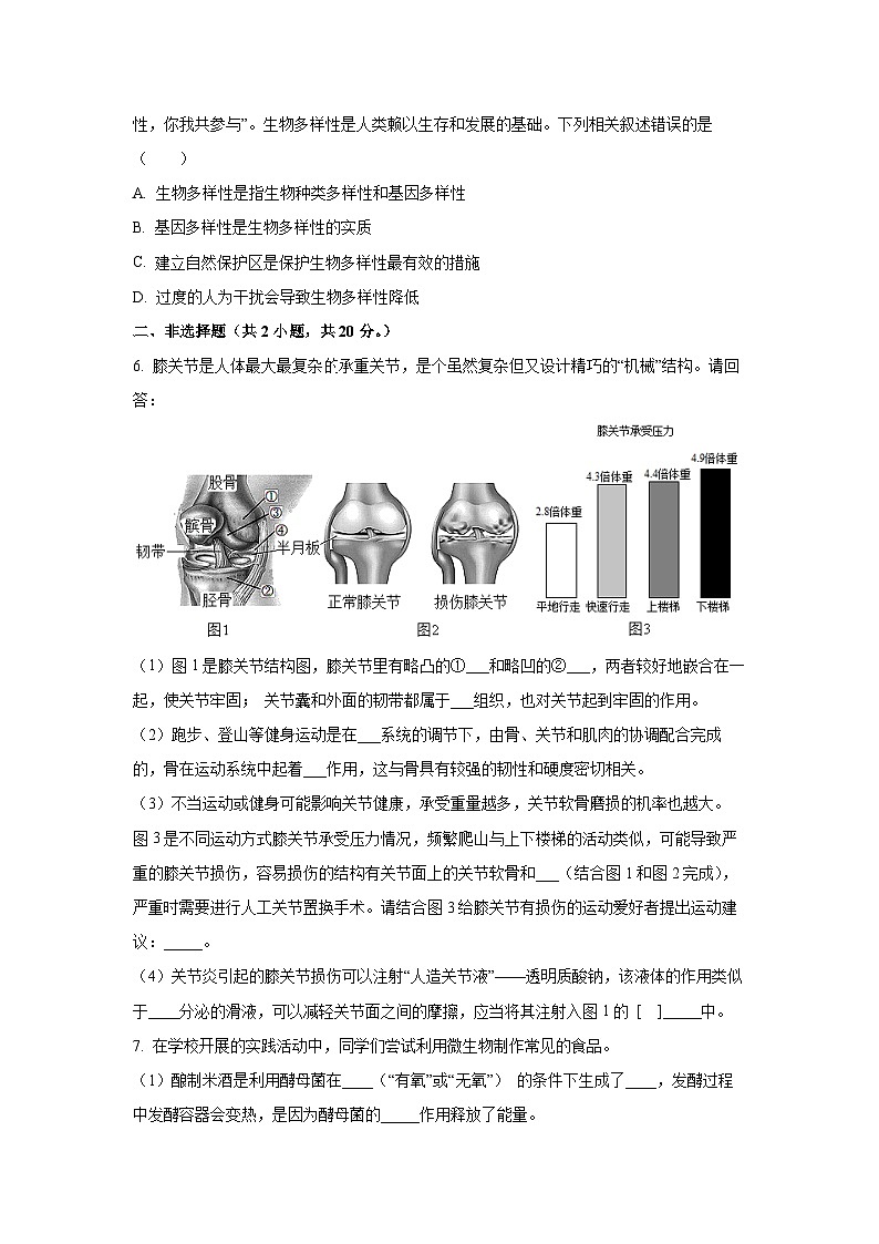 内蒙包头市青山区联考2024-2025学年八年级上学期期中生物试卷（学生版）第2页