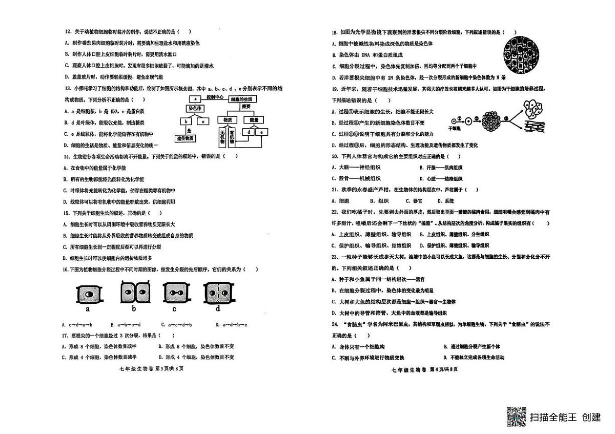 福建省泉州市永春县五中片区2025-2026学年七年级上学期期中考试生物试题第2页