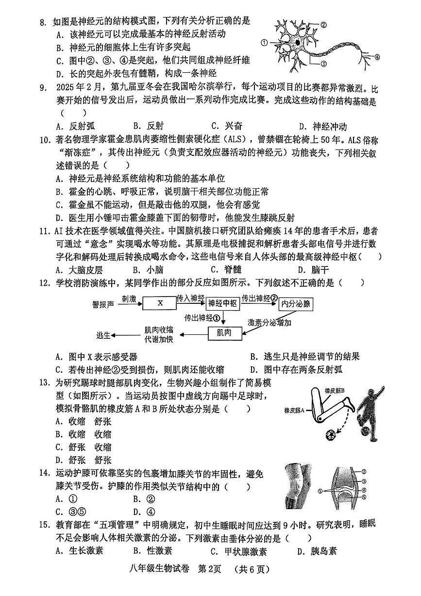 河南省三门峡市灵宝市2025-2026学年八年级上学期11月期中生物试题第2页