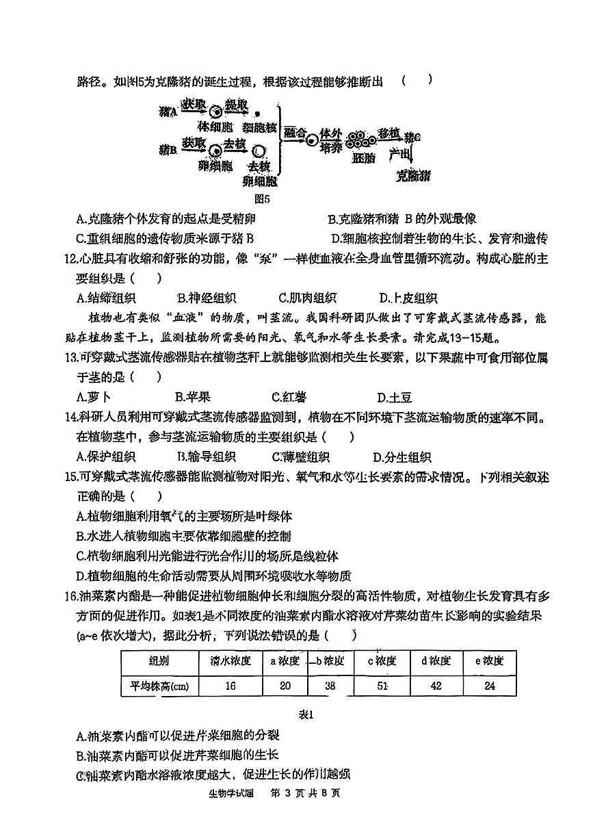陕西省西安市雁塔区高新区第三初级中学2025-2026学年上学期期中考试七年级生物试题第3页