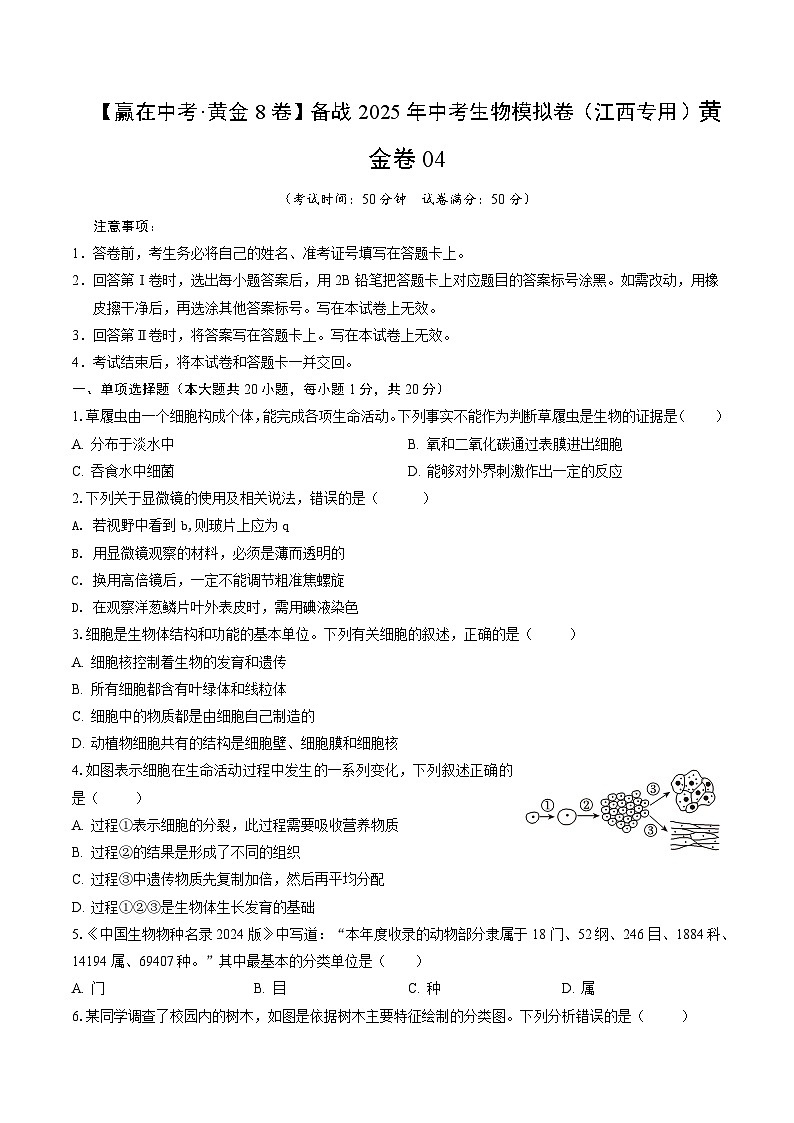 黄金卷04（江西专用）（考试版）第1页