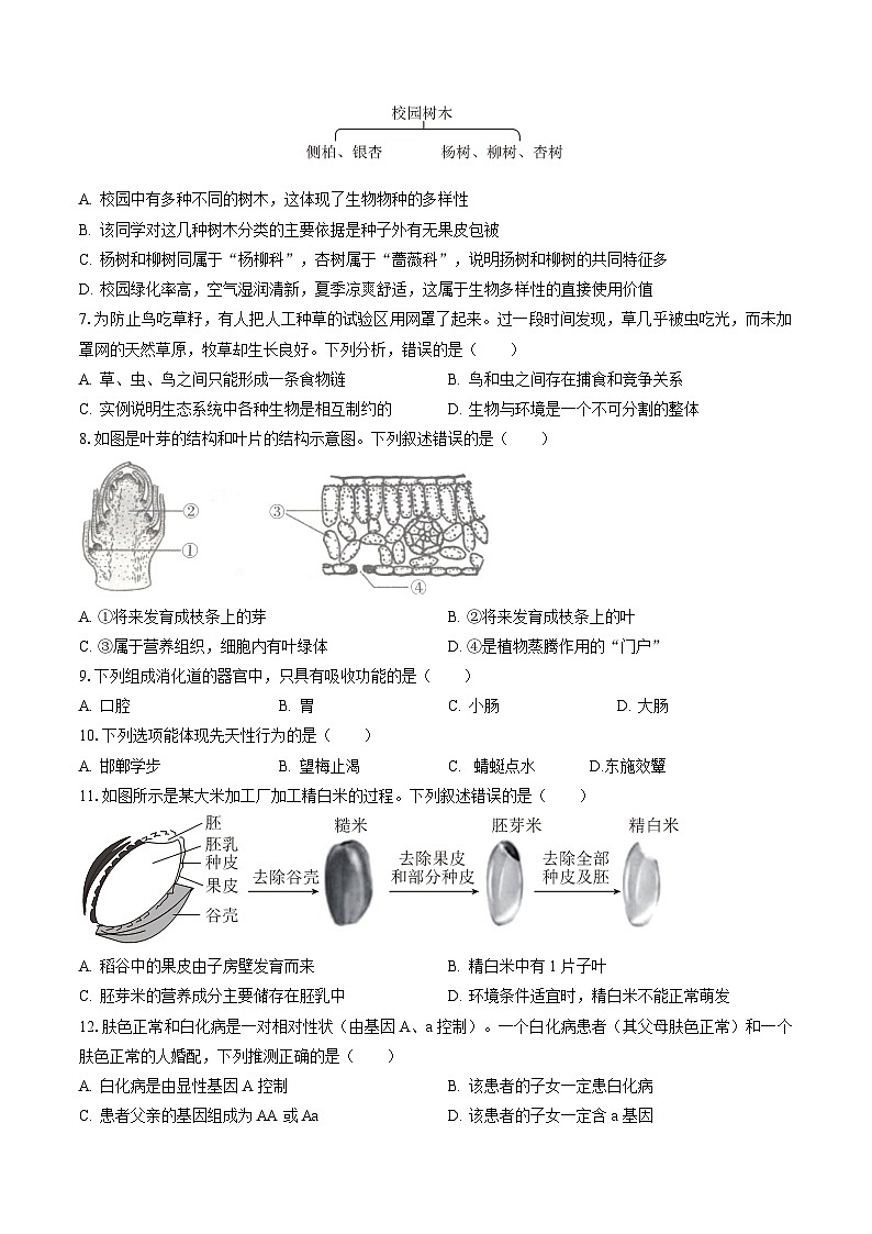 黄金卷04（江西专用）（考试版）第2页
