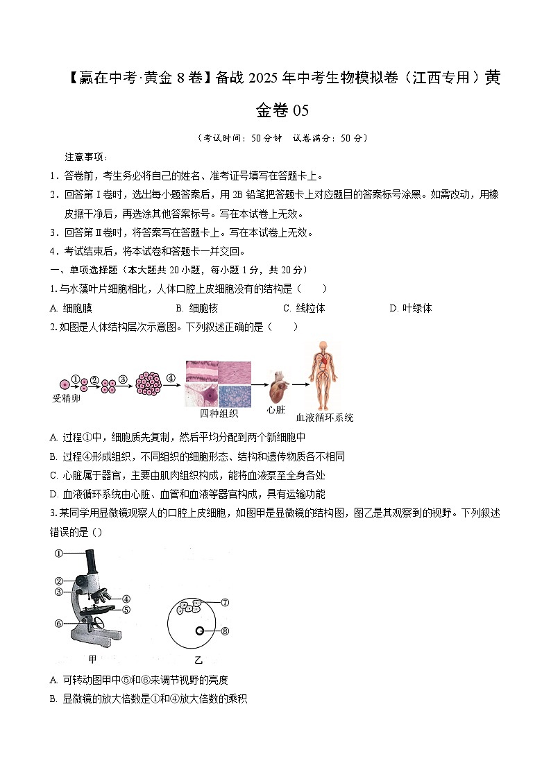 黄金卷05（江西专用）（考试版）第1页