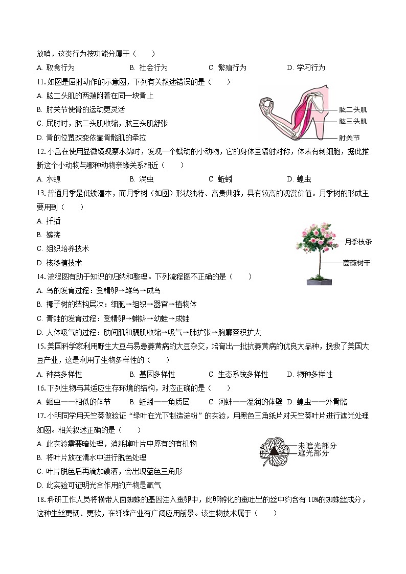 黄金卷05（江西专用）（考试版）第3页