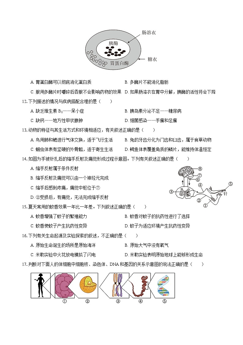 黄金卷06（江西专用）（考试版）第3页