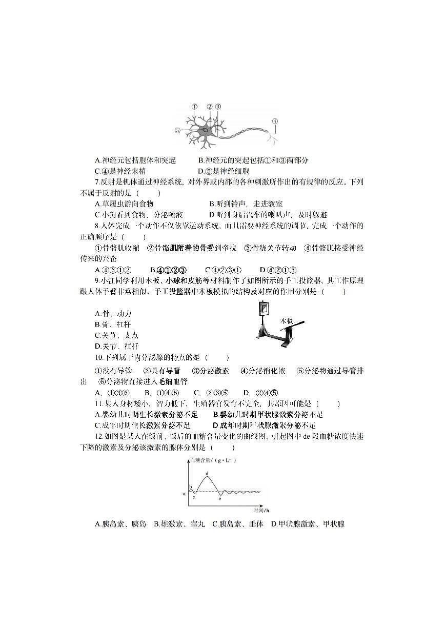 2025年哈尔滨市松南中学八年级（上）期中生物试卷及答案第2页