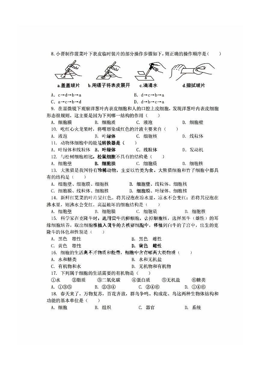 2025年哈尔滨市松南中学七年级（上）期中生物试卷及答案第2页