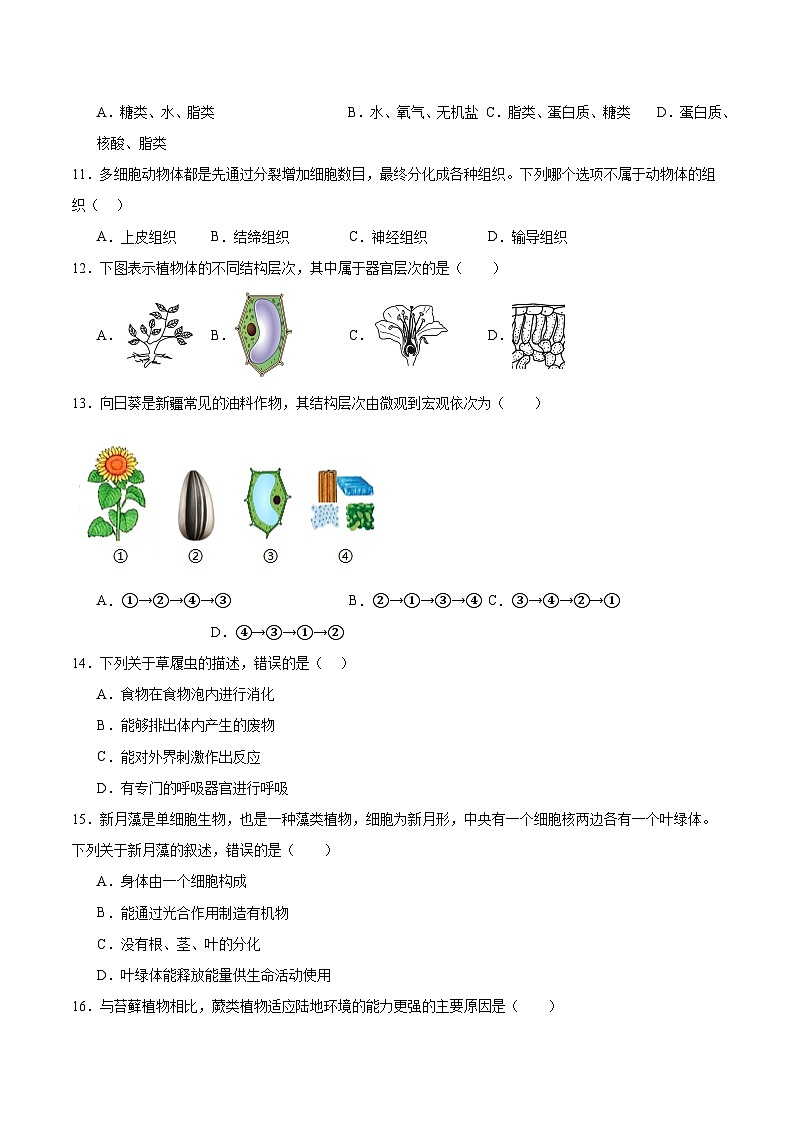 云南省昭通市昭阳区2024-2025学年七年级上学期12月月考生物试卷（含答案）第2页