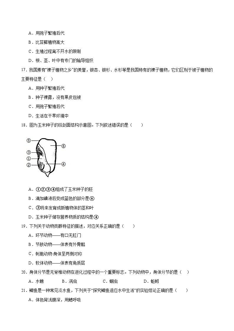 云南省昭通市昭阳区2024-2025学年七年级上学期12月月考生物试卷（含答案）第3页