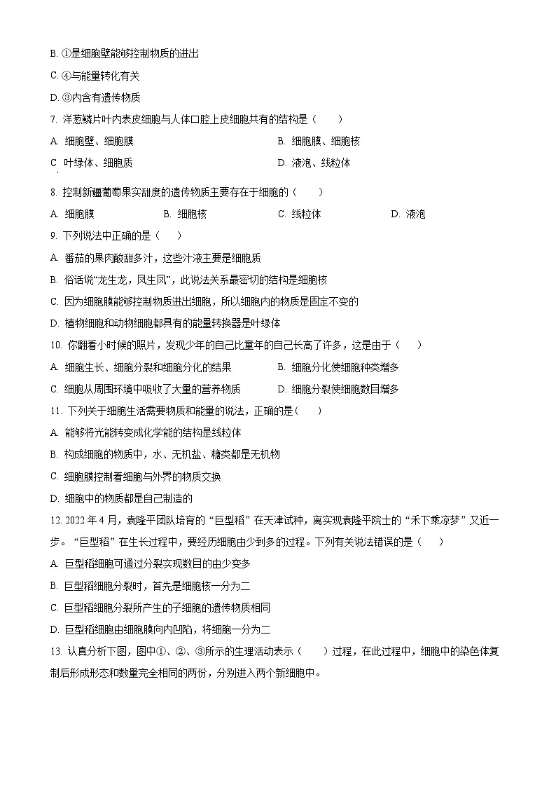 新疆伊犁哈萨克自治州伊宁县2025-2026学年七年级上学期期中生物学试题（含答案）第2页