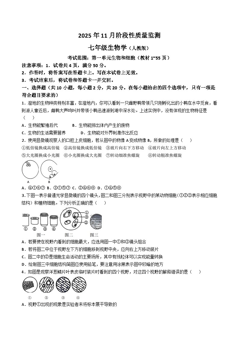 内蒙古赤峰市翁牛特旗2025-2026学年七年级上学期11月期中考试生物试卷 （含答案）第1页