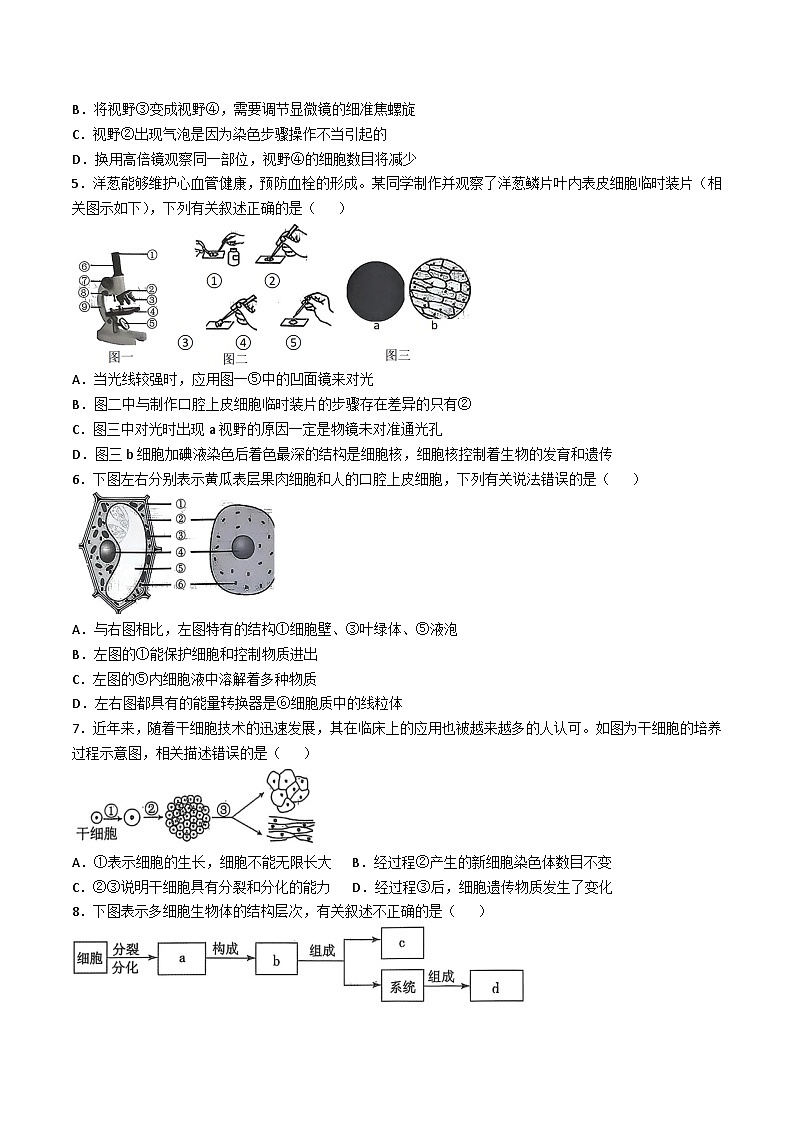 内蒙古赤峰市翁牛特旗2025-2026学年七年级上学期11月期中考试生物试卷 （含答案）第2页
