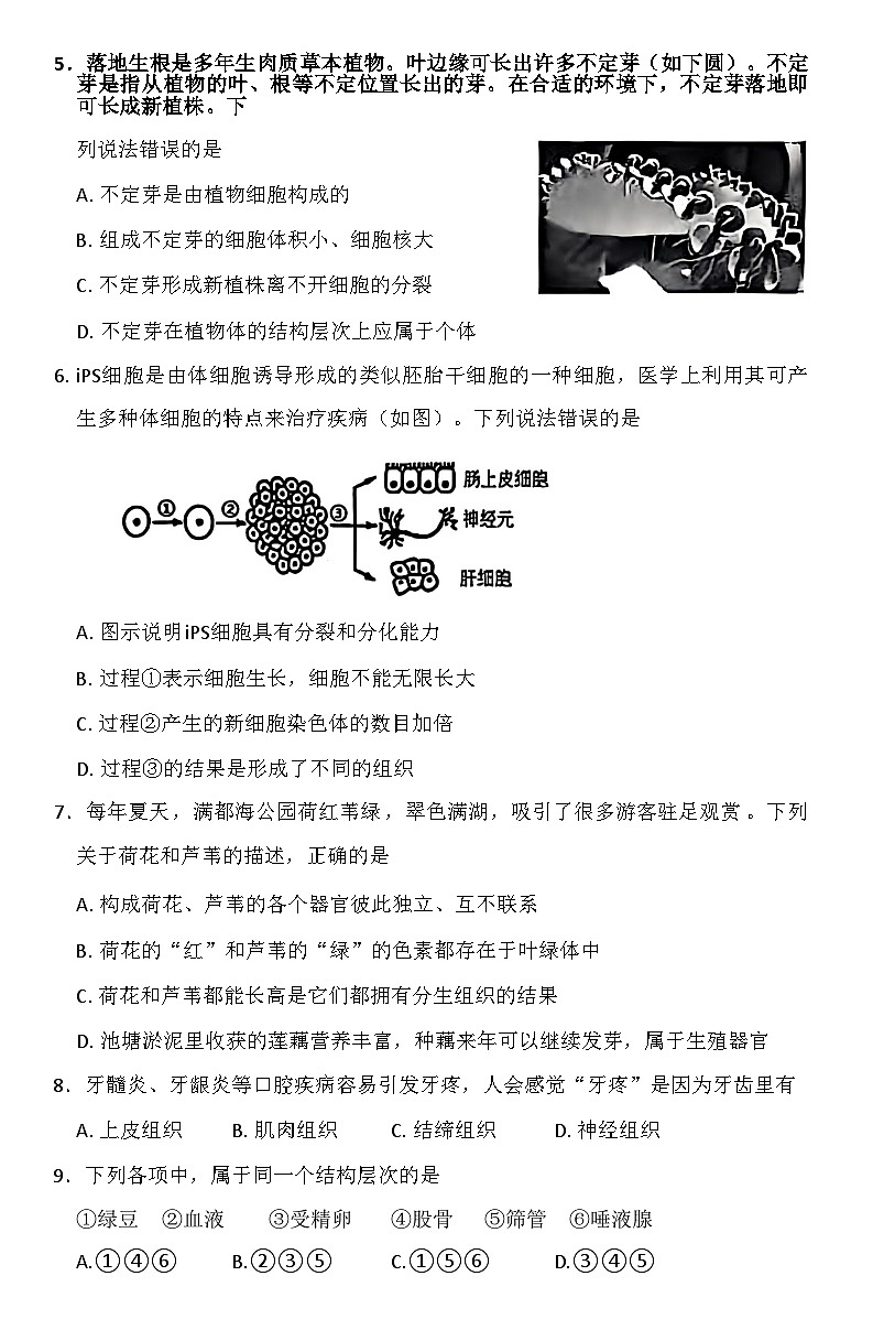 内蒙古呼和浩特市赛罕区2025-2026学年七年级上学期生物期中试卷（含答案）第2页