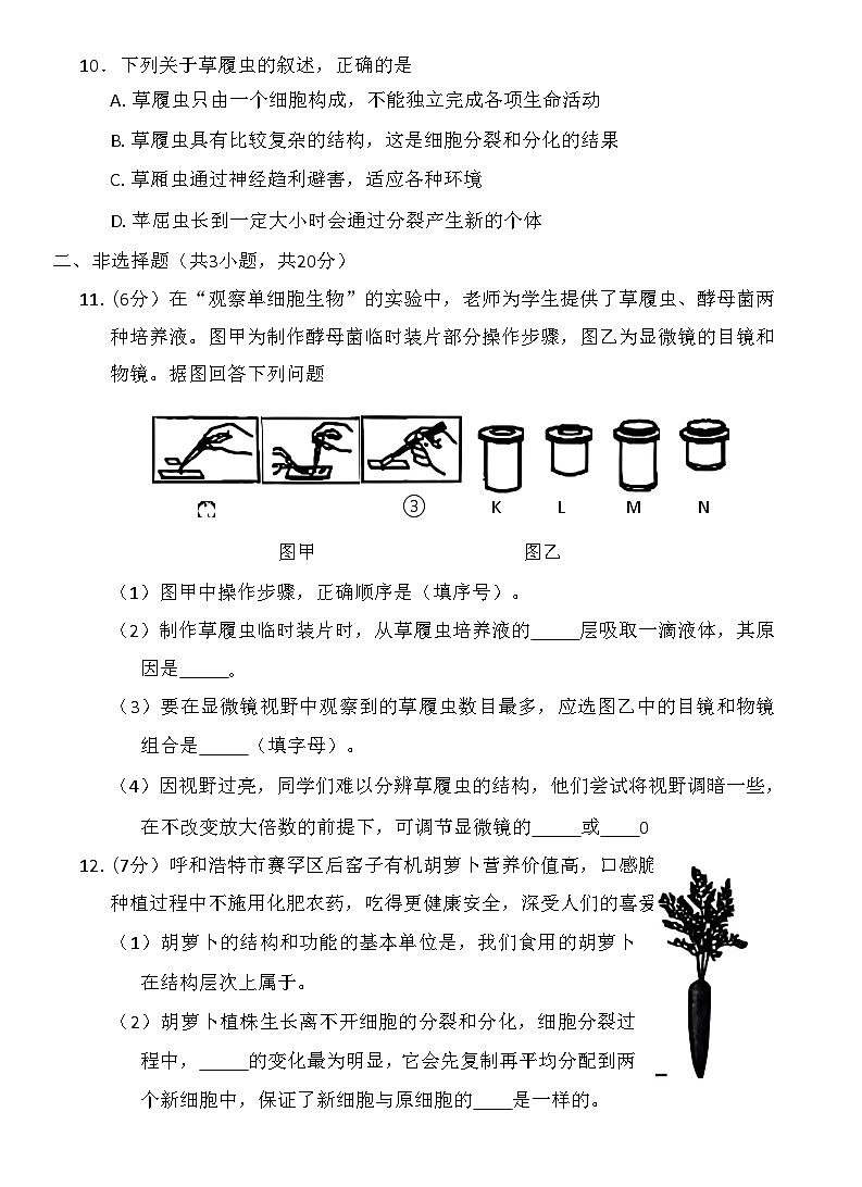 内蒙古呼和浩特市赛罕区2025-2026学年七年级上学期生物期中试卷（含答案）第3页