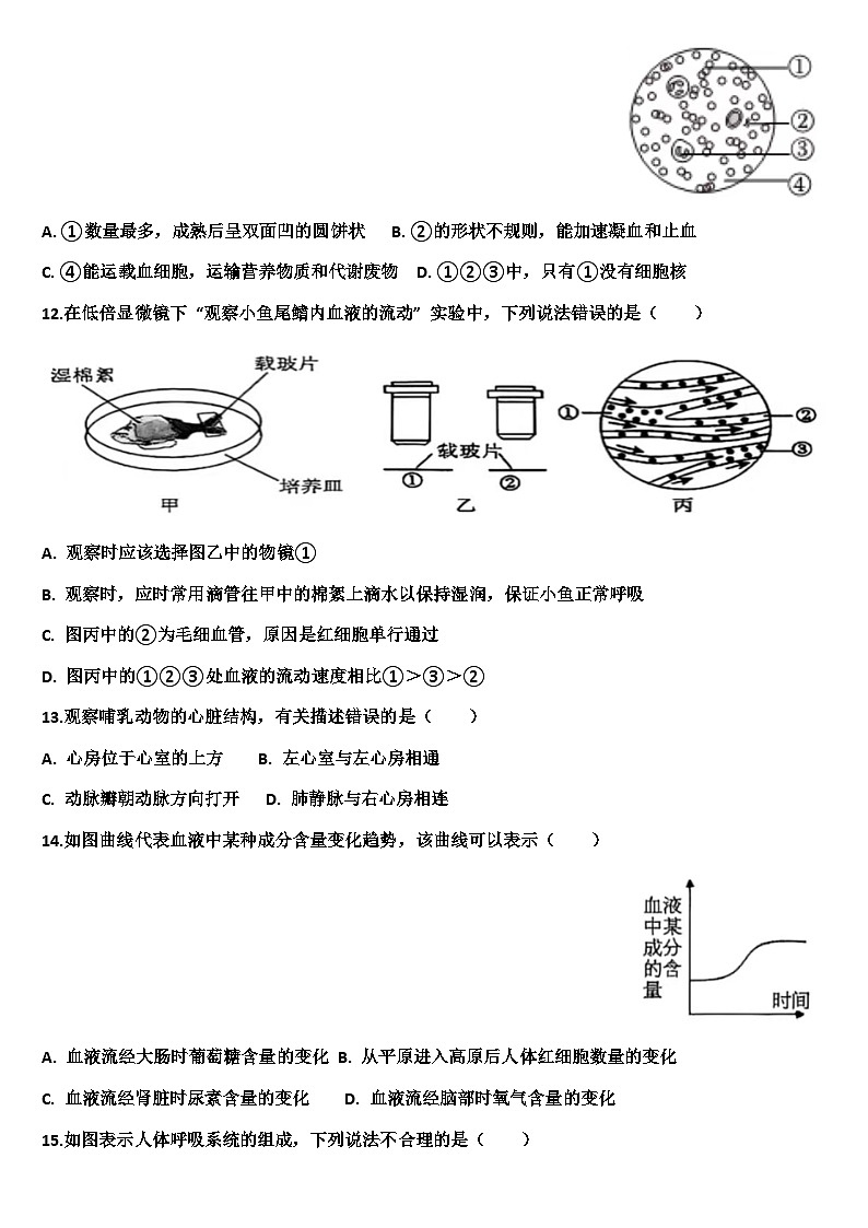 山东省济南市天桥区2025—2026学年八年级生物第一学期期中考试试题（含答案）第3页