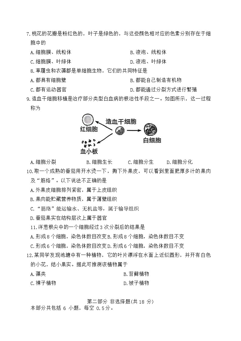 辽宁省沈阳市铁西区2025-2026学年七年级上学期11月期中考试生物试题（含答案）第2页